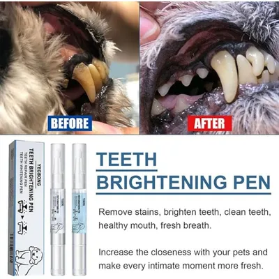 Pet Planet Chiens et Chats Stylo Pour Soigner Les Dents