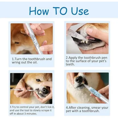 Pet Planet Chiens et Chats Stylo Pour Soigner Les Dents