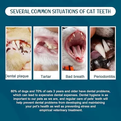 Pet Planet Chiens et Chats Dentifrice Pour Animaux