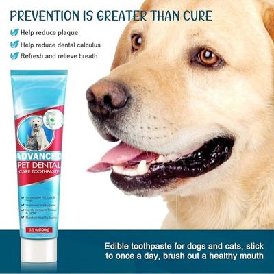 Pet Planet Chiens et Chats Dentifrice Pour Animaux