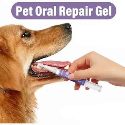Pet Planet Chiens et Chats Gel Pour Soin Buccal