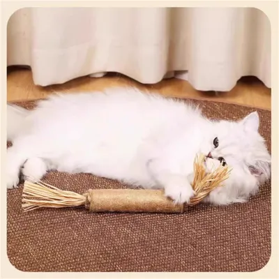 Pet Planet Grosse mèche de tatarinowii pour chat