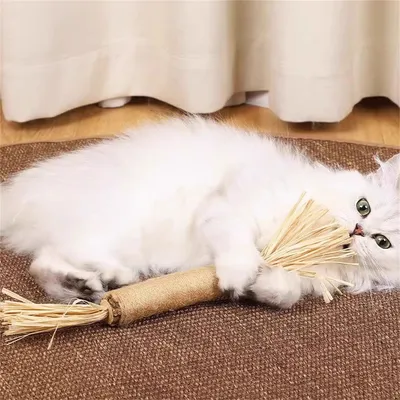 Pet Planet Grosse mèche de tatarinowii pour chat