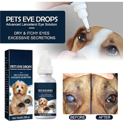 Pet Planet Chiens et Chats Collyre Pour Animaux