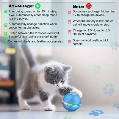 Jouet pour Chat Interactives Balles pour Chats avec Lumières LED, Bleu