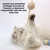 Pet Planet Jouet pour chats avec balle en sisal