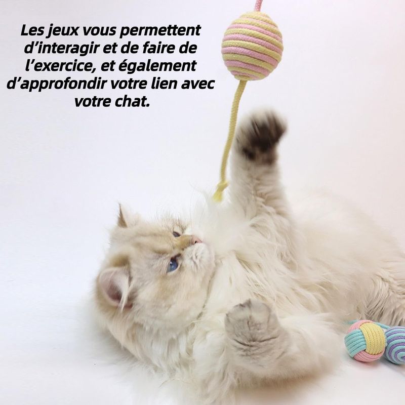 Pet Planet Jouet pour chats avec balle en sisal