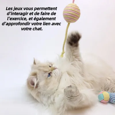 Pet Planet Jouet pour chats avec balle en sisal