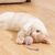 Pet Planet Jouet pour chats avec balle en sisal