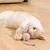 Pet Planet Jouet pour chats avec balle en sisal