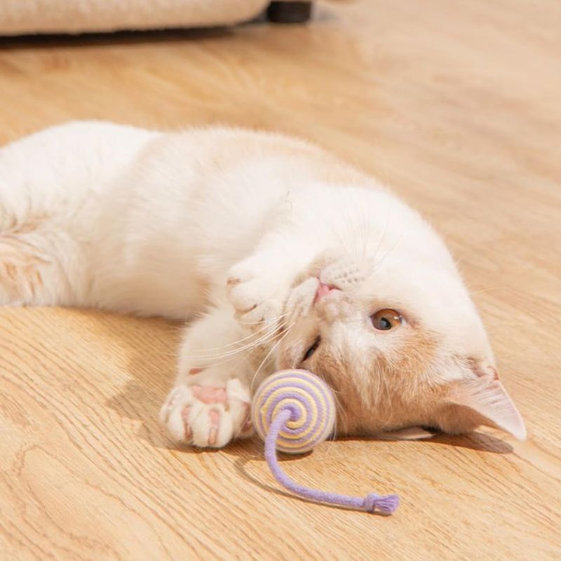 Pet Planet Jouet pour chats avec balle en sisal