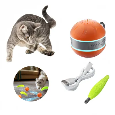 Pet Planet Balle attractrice pour chat jouet intelligent