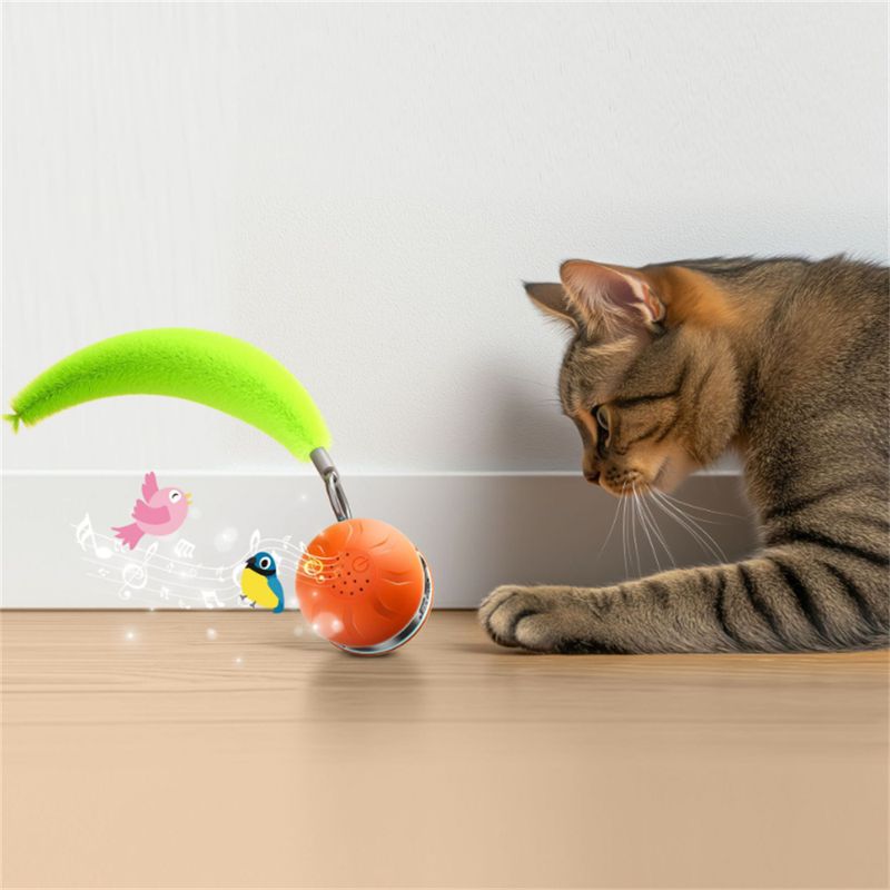 Pet Planet Balle attractrice pour chat jouet intelligent
