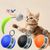 Pet Planet Balle attractrice pour chat jouet intelligent