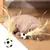 Pet Planet Chats Ballon Élastique