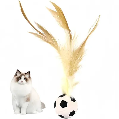 Pet Planet Chats Ballon Élastique Pet Planet Chats Ballon Élastique