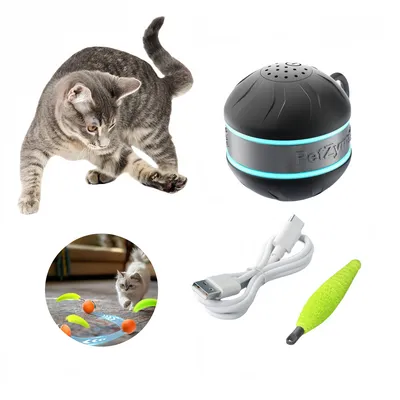 Pet Planet Balle attractrice pour chat jouet intelligent