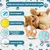 ZooVenture Sonores Balles Interactives Pour Chats