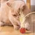 ZooVenture Jouet ballon élastique pour chats
