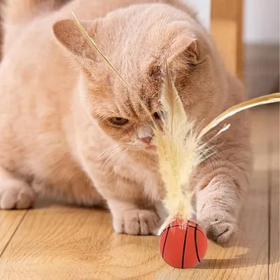 ZooVenture Jouet ballon élastique pour chats