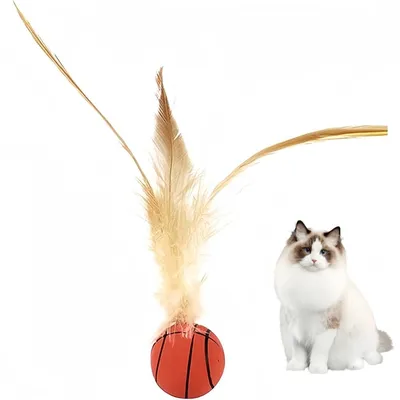 ZooVenture Jouet ballon élastique pour chats ZooVenture Jouet ballon élastique pour chats