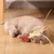 ZooVenture Jouet ballon élastique pour chats