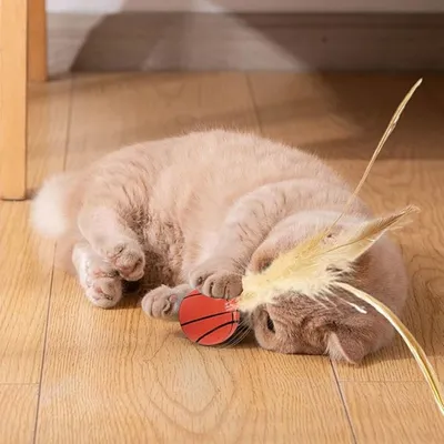 ZooVenture Jouet ballon élastique pour chats