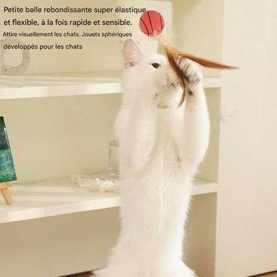 ZooVenture Jouet ballon élastique pour chats