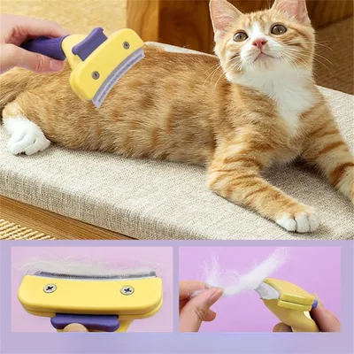 Pet Planet Peigne à poils automatiques pour animaux