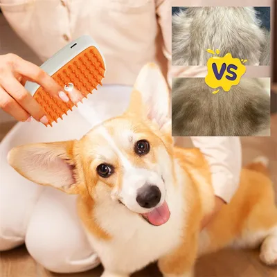 IntiMeg Brosse à vapeur pour chats