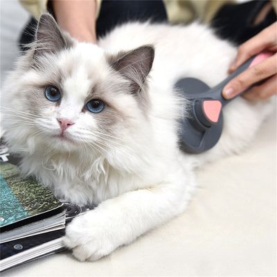Pet Planet Peigne auto nettoyant et de massage