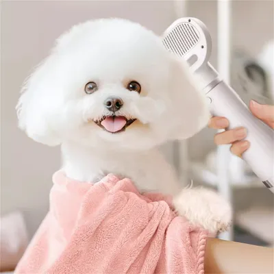 Pet Planet Sèche cheveux et brosse pour animaux de compagnie