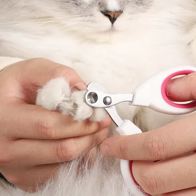 Petopia Coupe - griffes pour chat