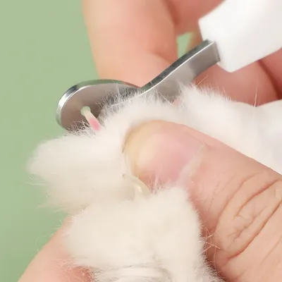 Petopia Coupe - griffes pour chat