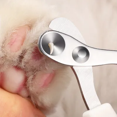 Petopia Coupe - griffes pour chat