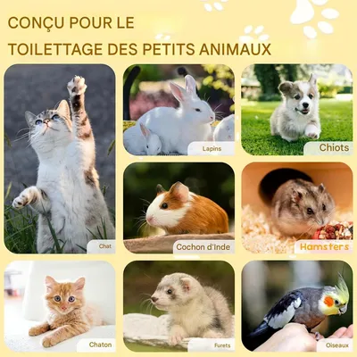 IntiMeg Coupe griffes pour chat