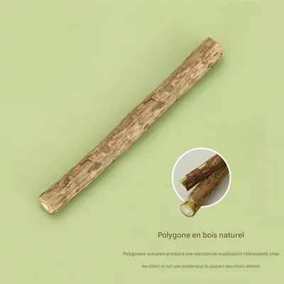 Pet Planet Jouets pour chats en forme d'échalotes au matatabi (5 pièces)