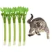 Pet Planet Jouet pour chat Matatabi Celery (5 pièces)