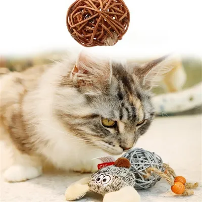 Pet Planet Jouet pour chat en rotin avec cloche et plumes (12x7 cm)
