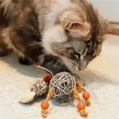 Pet Planet Jouet pour chat en rotin avec cloche et plumes (12x7 cm)