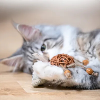 Pet Planet Jouet pour chat en rotin avec cloche et plumes (12x7 cm)