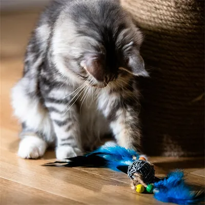 Pet Planet Jouet pour chat en rotin avec cloche et plumes (12x7 cm)