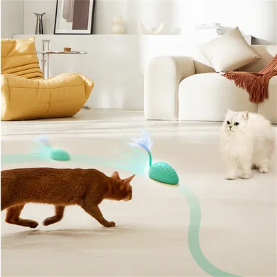 Pet Planet Souris en silicone électronique pour chat