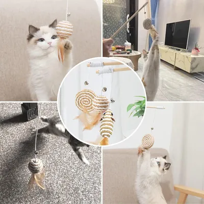 Pet Planet ZooVenture Interactif Lot de 3 Jouets pour Chat