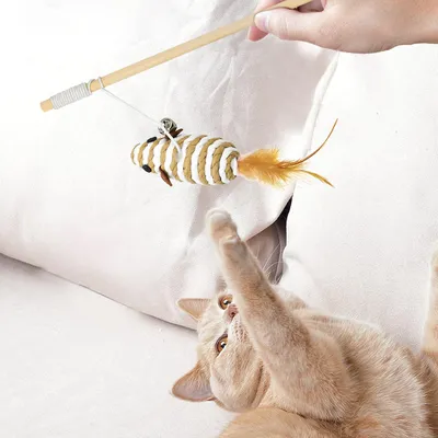 ZooVenture Interactif Lot de 3 Jouets pour Chat