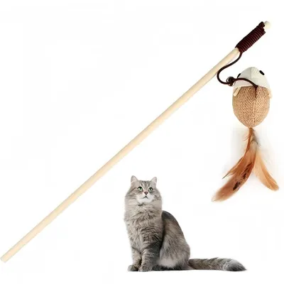 Pet Planet Chats Baton Pour Attirer Les Chats Avec Clochette