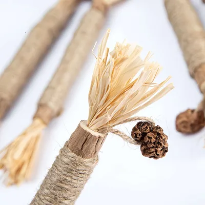 FurryFusion Lot de 3 bâtonnets de dentition pour chat