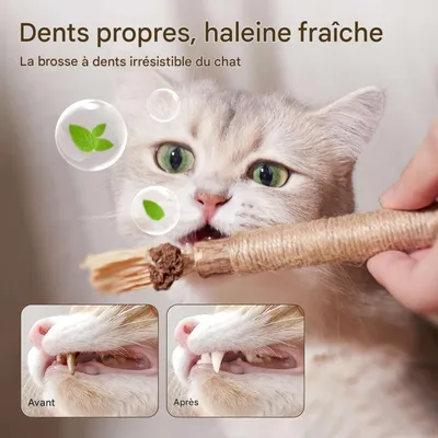 FurryFusion Lot de 3 bâtonnets de dentition pour chat