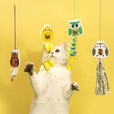 Pet Planet Chats Jouet Animal Oiseau Vert