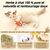 Pet Planet Chats Jouet En Forme De Poisson